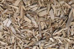 biomass boilers Digby